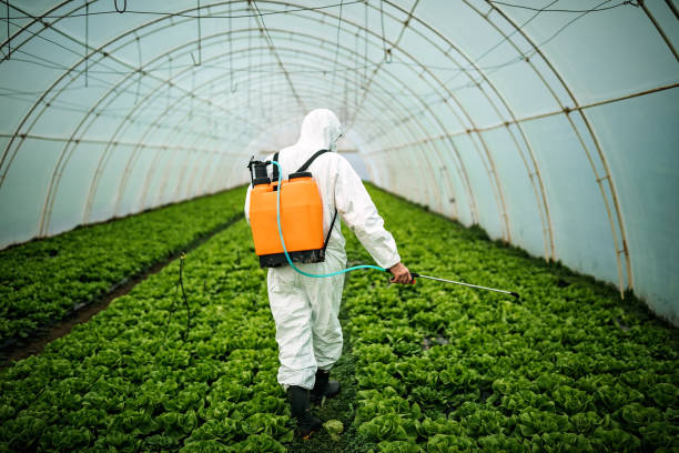Pest Control Cost in Loop, PA
