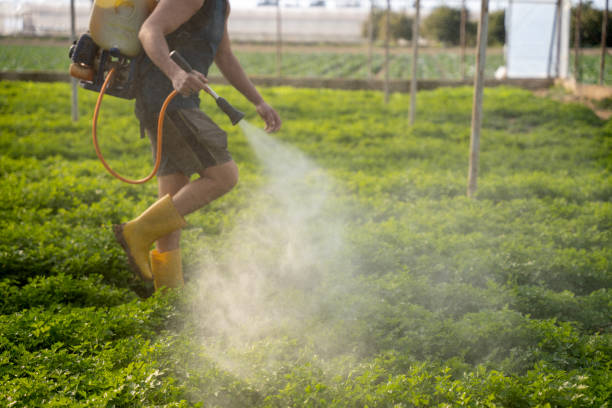 Best Pest Prevention Services  in Loop, PA