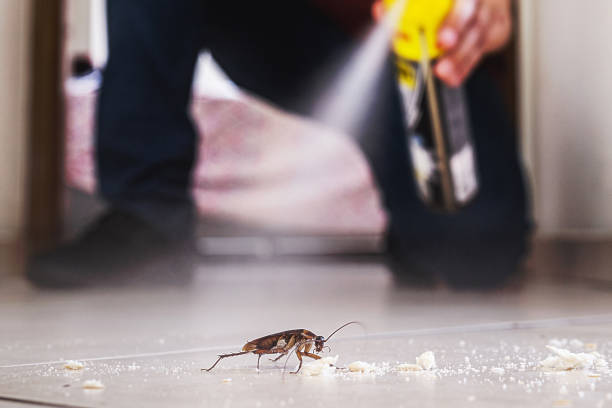 Best Mosquito Control Services  in Loop, PA