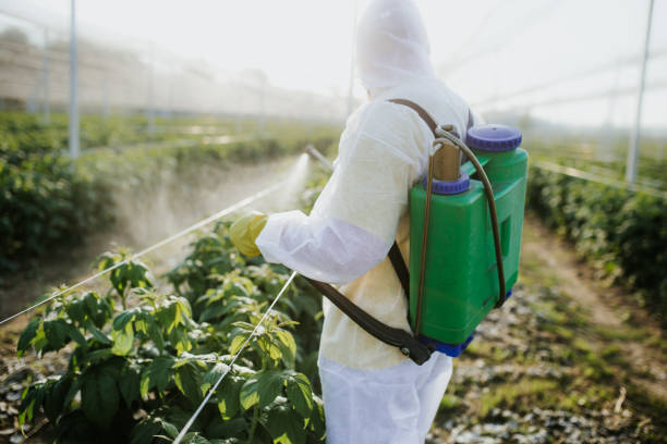 Trusted Loop, PA Pest Control Experts